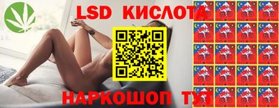 индика Нальчик