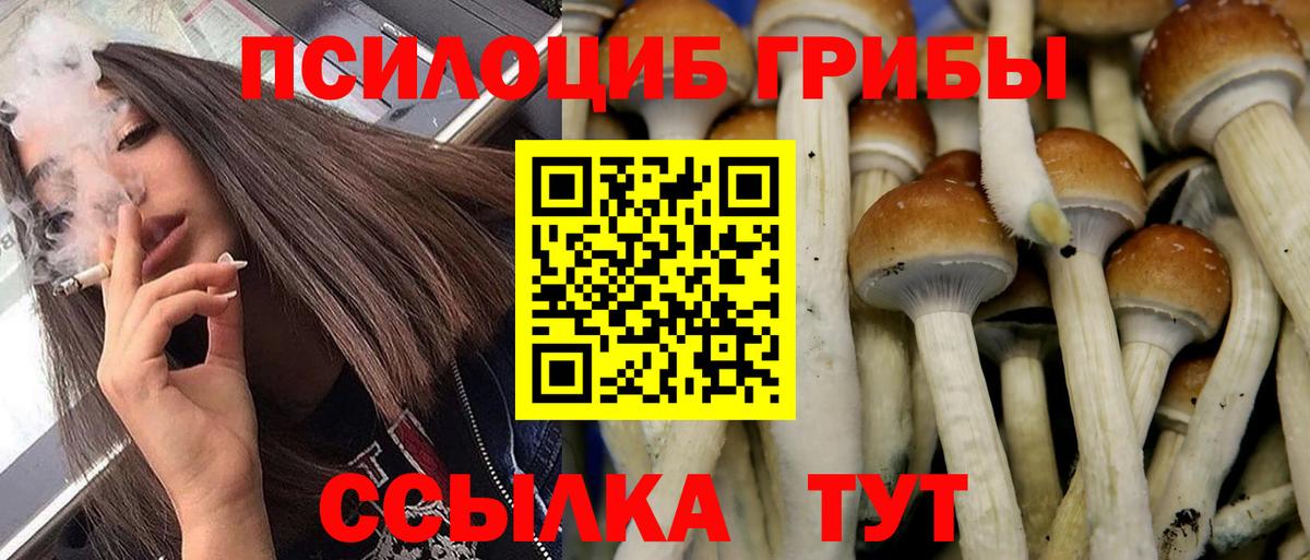 Галлюциногенные грибы GOLDEN TEACHER  Псилоцибиновые грибы мухоморы  Вход с VPN  Ханты-Мансийск 